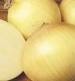 Yellow Sweet Spanish Onion - St. Clare Heirloom Seeds