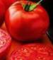 New Yorker Tomato - St. Clare Heirloom Seeds