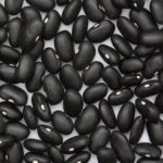 Bean, Dry - Black Turtle Bean - Photo Credit: Sanjay Acharya - St. Clare Heirloom Seeds