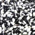Bean, Dry - Calypso - St. Clare Heirloom Seeds