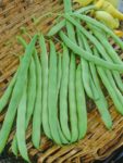 Missouri Wonder Pole Bean - St. Clare Heirloom Seeds