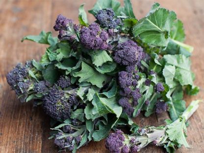 Purple Sprouting Broccoli - St. Clare Heirloom Seeds