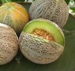 Rocky Ford Cantaloupe - St. Clare Heirloom Seeds