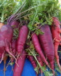 Atomic Red Carrot - St. Clare Heirloom Seeds