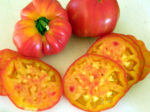 Tomato, Orange and Yellow - Old German - St. Clare Heirloom Seeds
