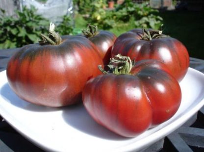 Tomato - Black Krim - St. Clare Heirloom Seeds