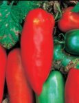 Tomato, Paste - Sausage Tomato - St. Clare Heirloom Seeds