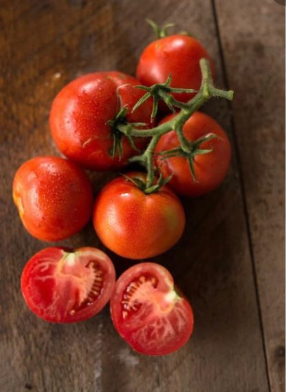 Tomato, Red - Bonnie Best - St. Clare Heirloom Seeds