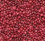 Small Red Bean - St. Clare Heirloom Seeds