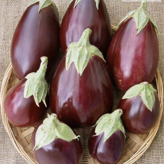 Black Beauty Eggplant - St. Clare Heirloom Seeds