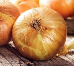 Onion - Walla Walla - St. Clare Heirloom Seeds