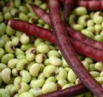 Pea, Cowpea – Pinkeye Purple Hull - St. Clare Heirloom Seeds