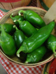 Pepper, Hot - Jalapeno Early - St. Clare Heirloom Seeds