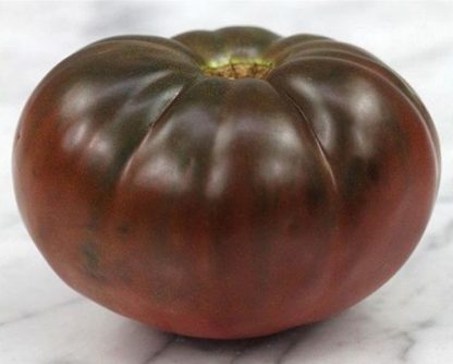 Tomato - Brandywine Black - St. Clare Heirloom Seeds