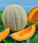 Hales Best Jumbo Cantaloupe - St. Clare Heirloom Seeds