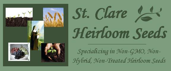 [Image: St.-Clare-Seeds-Website-Header-Title-Tag.jpg]
