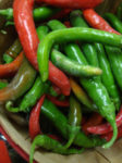 Pepper, Hot - Cayenne, Large Red Thick - St. Clare Heirloom Seeds